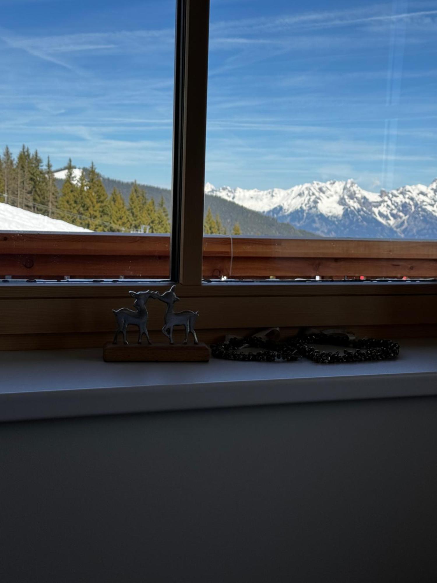 Glockneralm - Exklusiv Erreichbar Mit Skilift Zell am See Luaran gambar